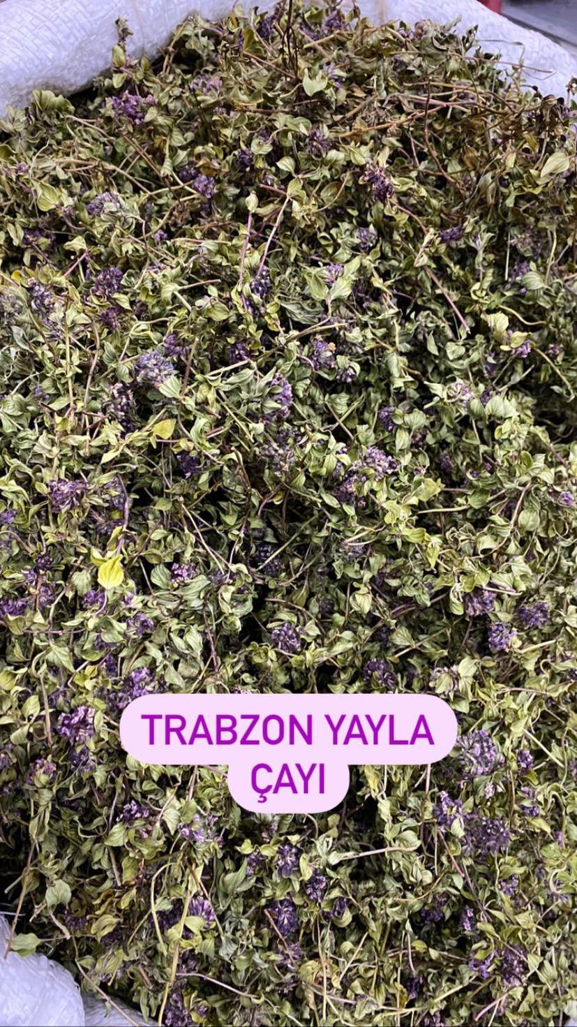 Yayla çayı hangi hastalıklara iyi gelir Çaykara? - Kapak Görseli